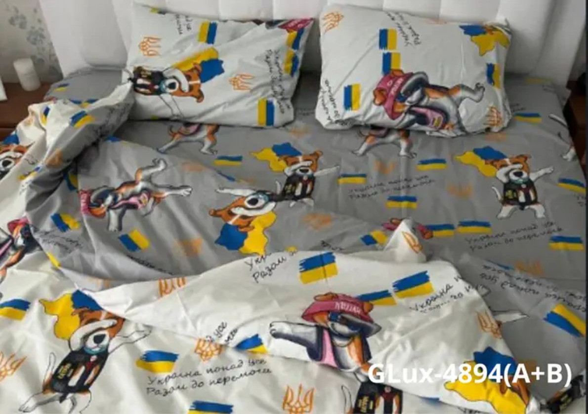 Постільний комплект двоспальний 180х220 Ранфорс бавовна (21341) Молодіжна постільна білизна двоколірна, фото 1