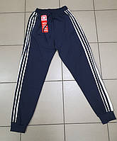 Спортивные штаны мужские CRAMP M-XXXL 1554-3, XL, 50, Синий