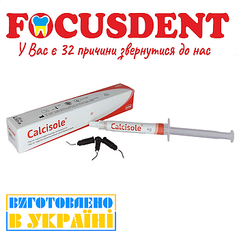Calcisole-C (Кальцізоль-Ц) - паста гідроксидкальцієва регенеруюча, 1,5 г