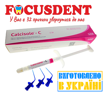 Calcisole-C (Кальцізоль-Ц) - паста гідроксидкальцієва регенеруюча, 2,8 г