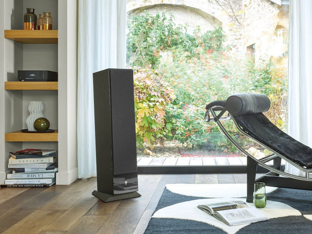 Focal Theva №2 Black