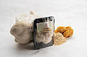 Герицій Гребінчастий (Їжовик) Hericium erinaceus, сушений, 100 гр, фото 4
