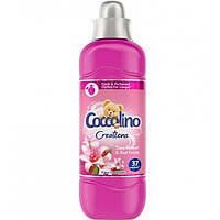 Ополаскиватель Coccolino Tiare Flower & Red Fruits, 925 мл (37 стирок)