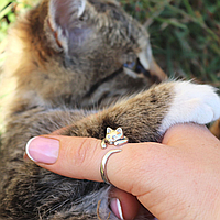 Серебряное женское кольцо Кошка - колечко в виде очаровательной кошечки
