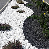 Галька біла декоративна для клумб та ландшафтного дизайну  (ціна за 1 кг від 1 тони), фото 9