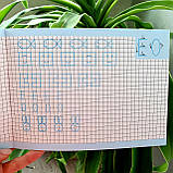 Проста підготовка до школи. Лист. Друковані літери АРТ17002У, фото 2