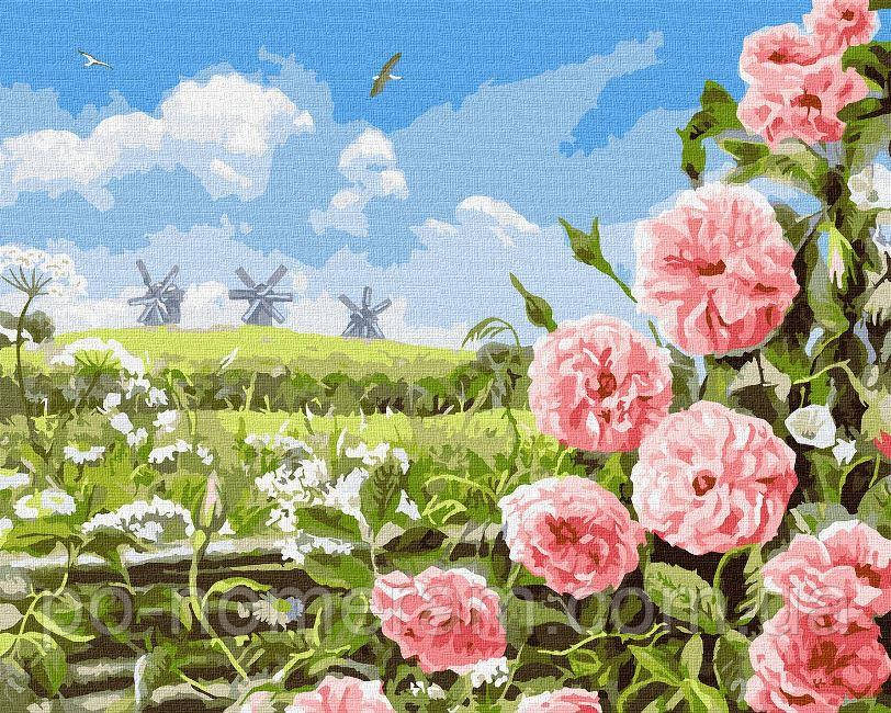 Розмальовки за номерами Ідейка Ніжність полів ©Аlessandro Remi (KHO6321) 40 х 50 см