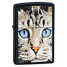 Запальничка Zippo 28040 Blue Eyed Cat чорна 28040, фото 2