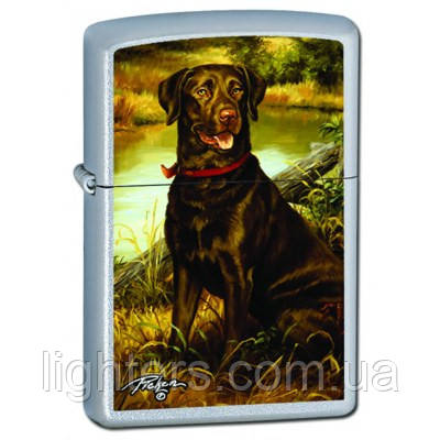 Зажигалка Zippo 24781 Labrador - фото 1 - id-p333654283