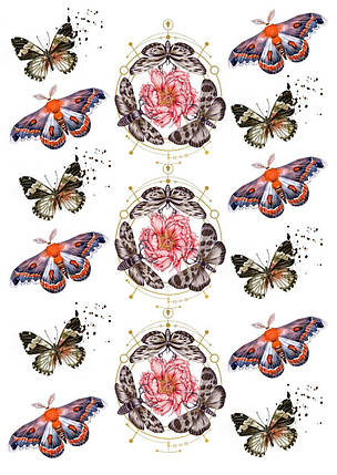 Вафельна картинка Метелики № 7, фото 2