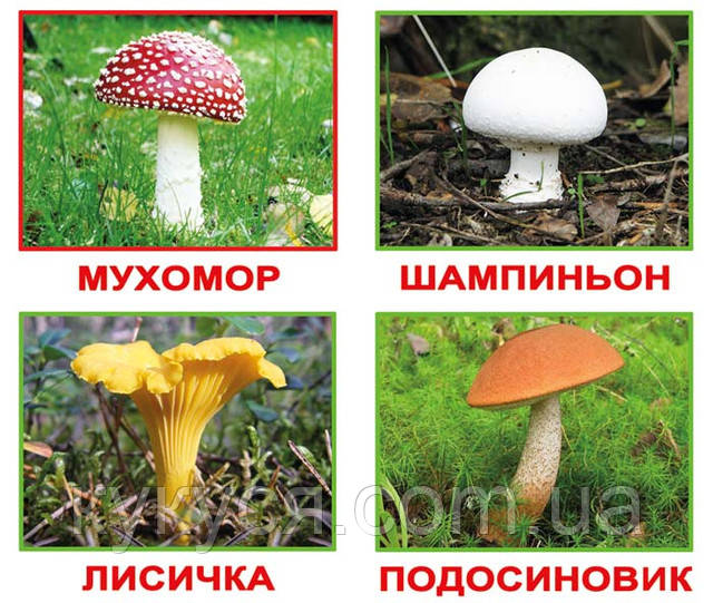 kartochki po Domany развивающие карточки