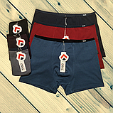 Чоловічі труси боксери Taso бавовна+бамбук тонка гумка 1 шт Розмір L XL XXL 3XL, фото 2