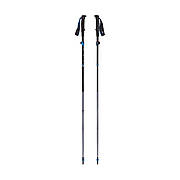 Трекінгові палки Black Diamond Distance FLZ, 125 см, Pewter (BD 11253310161251)