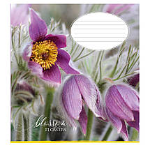 Зошит 48 арк. лінія "Поліграфіст" / Квіти, фото 3