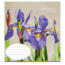 Зошит 48 арк. лінія "Поліграфіст" / Квіти, фото 4