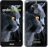 Силиконовый чехол Endorphone на Asus Zenfone 3 Max ZC520TL Красивый кот 3038u-442-26985 OB, код: 1390874