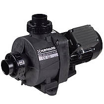 Hayward Насос Hayward HCP09101E KNG100 M.B(220В, 15.9 м3/ч, 1HP)