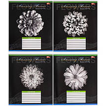 Зошит 18 арк. клітинка "МРІЇ" /, фото 3