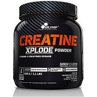 Креатин комплекс Olimp Nutrition Creatine Xplode 500 g 100 servings Pineapple TR, код: 7737424