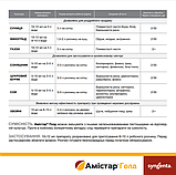Фунгіцид Амістар Голд 250 SC к.с. 100 мл, Syngenta, Швейцария, фото 4