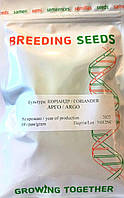 Кориандр АРГО | ARGO 100 грамм Breeding Seeds