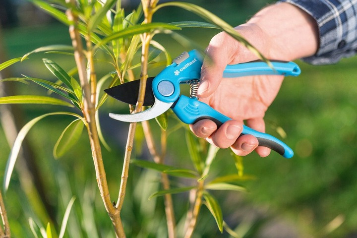 садові ножиці Cellfast