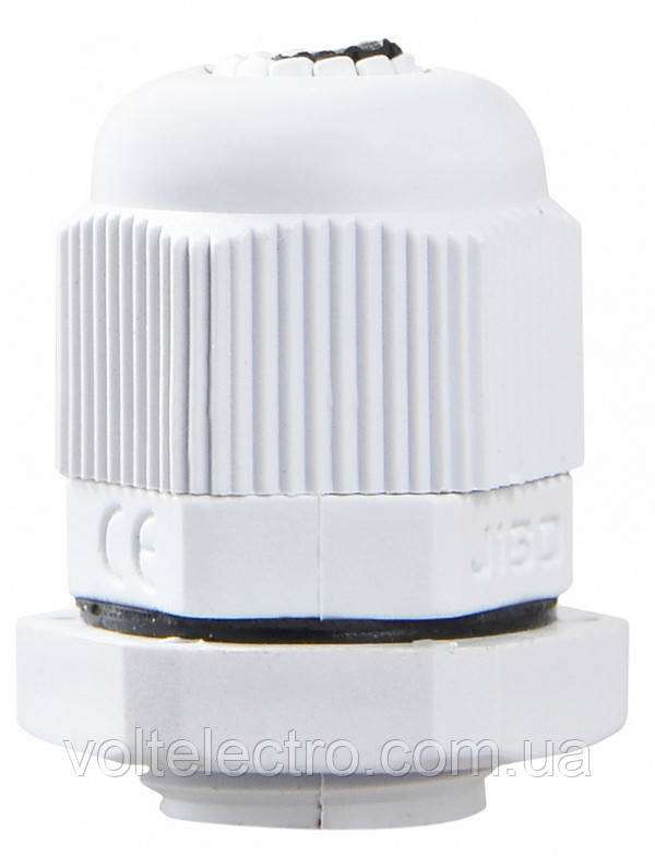 Сальник PG11, фото 1