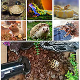 Інфрачервона нагрівальна лампа Korsar "Smart Heat" чорна кераміка, E27 75 Вт. Бризкозащена., фото 10