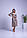 Сукня міді на ґудзиках бежева з білим коміром та довгими рукавами, фото 5