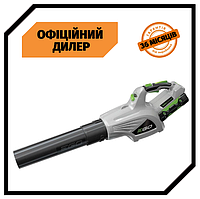 Аккумуляторная воздуходувка EGO LB4800E (56В)(Каркас) PAK