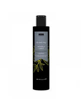 Шампунь Invidia Botoplus Karite Shampoo для пористого та кучерявого волосся з олією ши