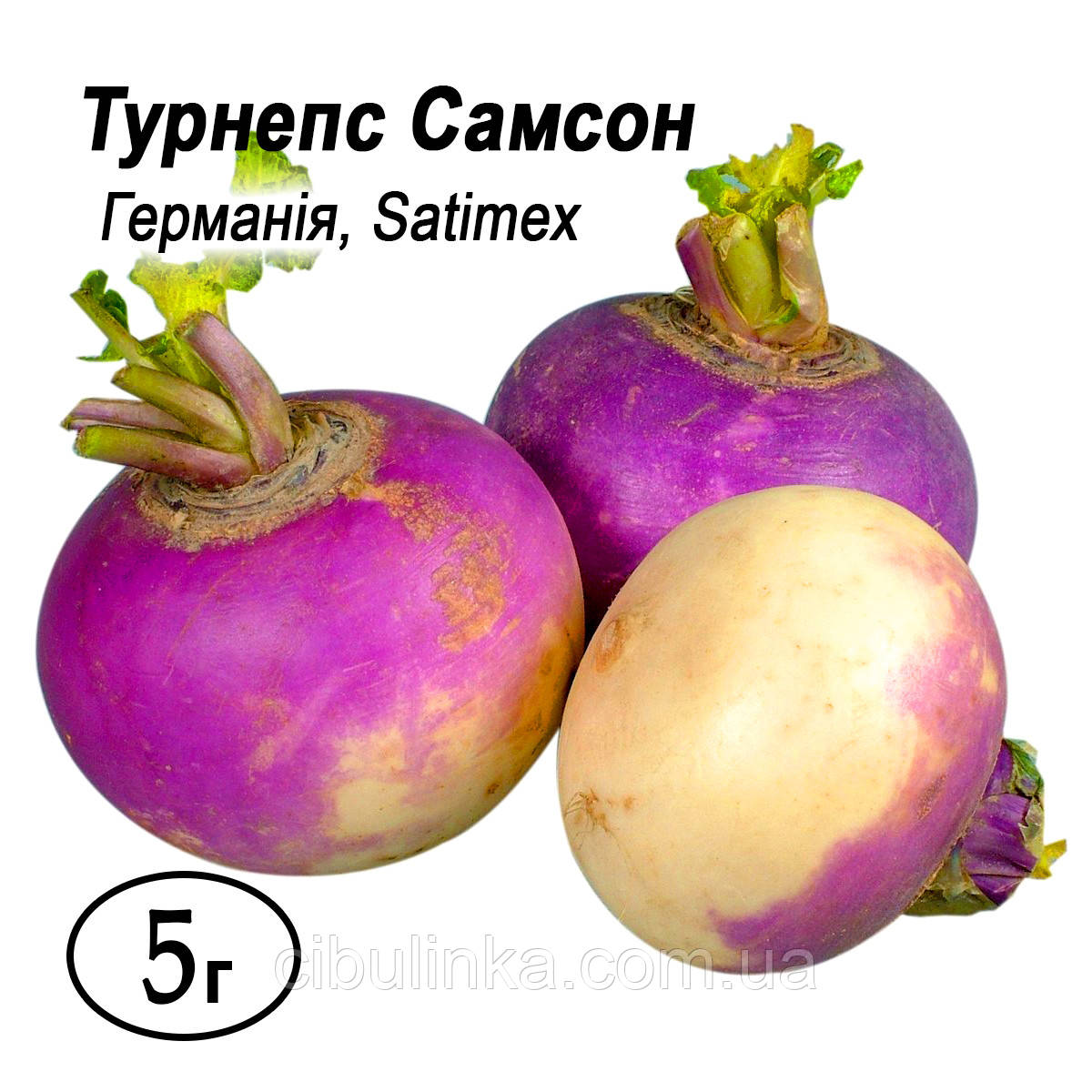 Семена Турнепс Самсон (брюква, репа кормовая) 5 г: продажа, цена в ...