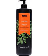 Шампунь Invidia Botoplus Argan Shampoo для фарбованого волосся з аргановою олією