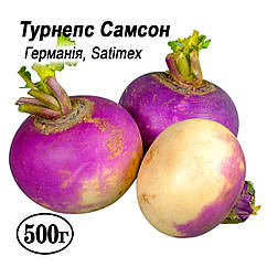 Насіння Турнепс Самсон (брюква, ріпа кормова) 500г