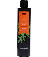 Шампунь Invidia Botoplus Argan Shampoo для фарбованого волосся з аргановою олією 200 мл