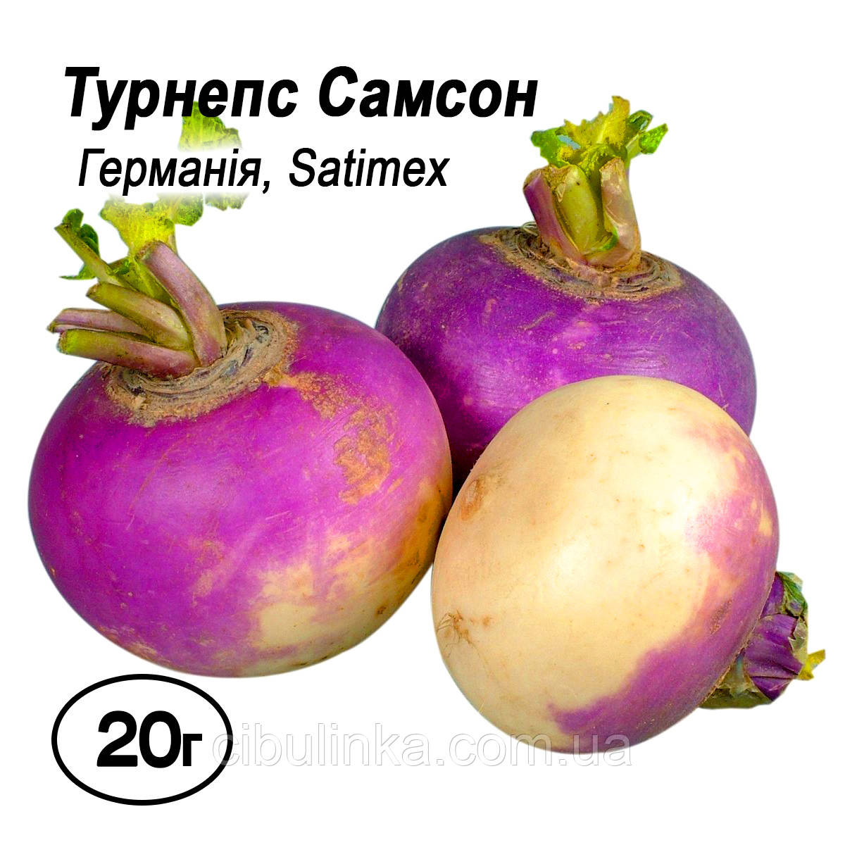 Насіння Турнепс Самсон (брюква, ріпа кормова) 20 г