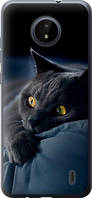 Чехол на Nokia C20 Дымчатый кот из силикона FCh_0000815
