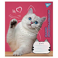 Зошит 18 кл."YES" Adventurous cats 766576