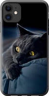 Чехол на iPhone 11 Дымчатый кот из пластика FCh_0000882