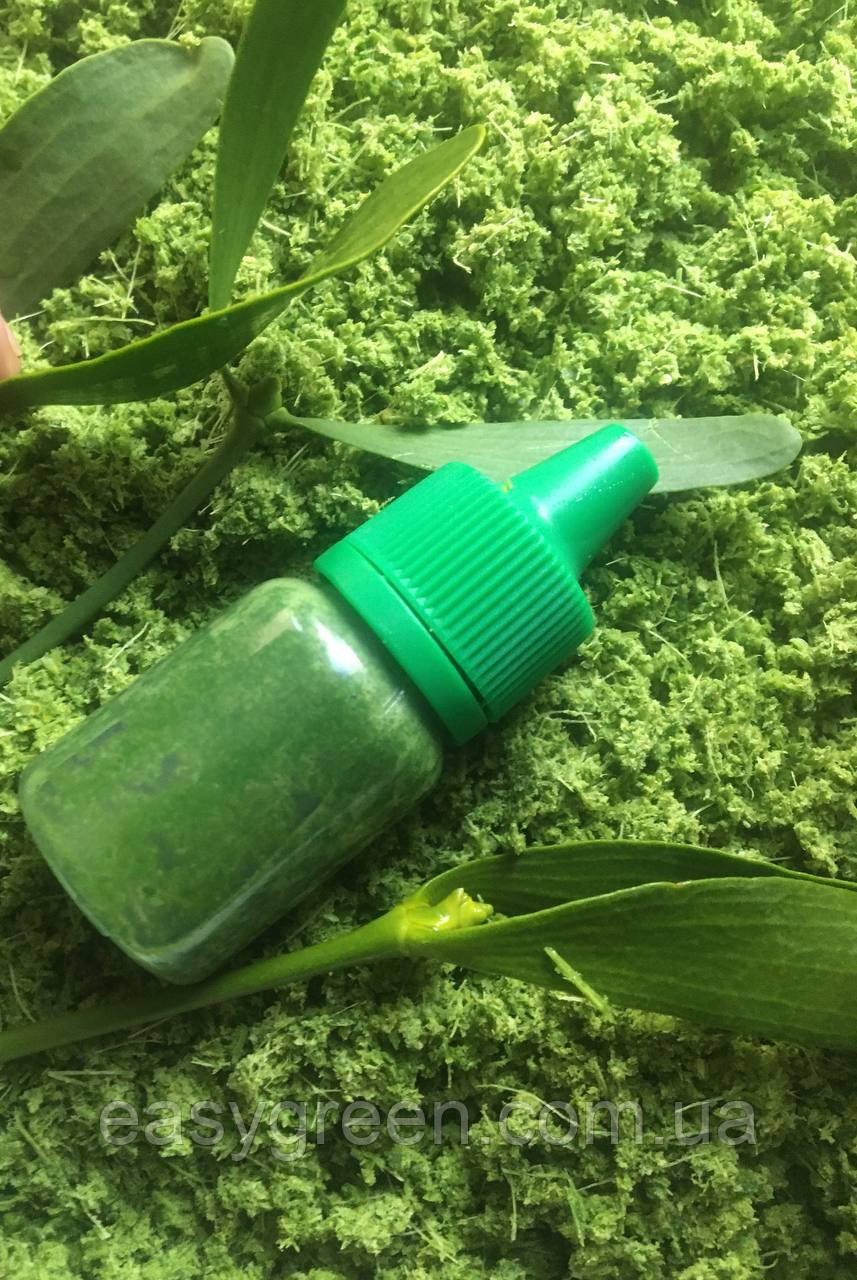 Клітковина Омела біла Sadove Bio Organic 20 г