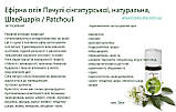 Ефірна олія Пачулі Швейцарія, фото 3