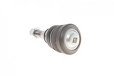 Опора кульова передня знизу Mitsubishi Colt VI Smart Forfour 04-12 203161, фото 4