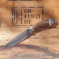 УЦІНКА! Узбекский нож пчак "Барс" с рукоятью из рога (105)