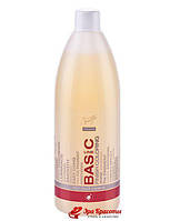 Шампунь для окрашенных волос Post color Shampoo Basic Line Spa Master, 970 мл