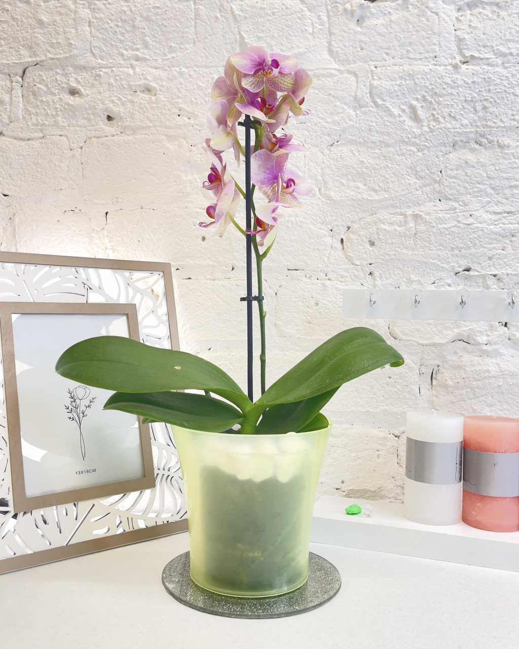 Горщик для орхідеї прозорий тонований зелений з прозорою вставкою (подвійний) 3,5л