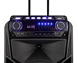 Bluetooth портативна колонка Temeisheng TMS-012 12", фото 2