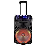 Bluetooth портативна колонка Temeisheng TMS-012 12", фото 4