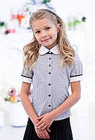 Блузка шкільна в горошок на короткий рукав "Світ блуз" мод. 5007к