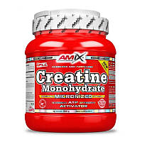 Креатин моногидрат AMIX Creatine Monohydrate (500 g, без вкуса)