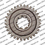 Шестірня проміжного заднього ходу Т-150, Z = 32, 151.37.129-2, ХТЗ, фото 5